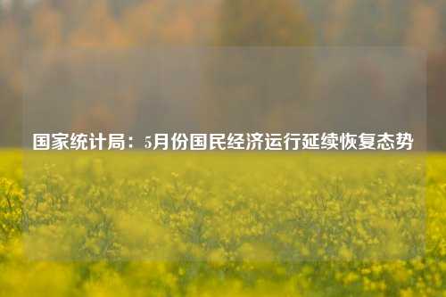 国家统计局：5月份国民经济运行延续恢复态势