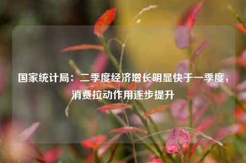 国家统计局：二季度经济增长明显快于一季度，消费拉动作用逐步提升