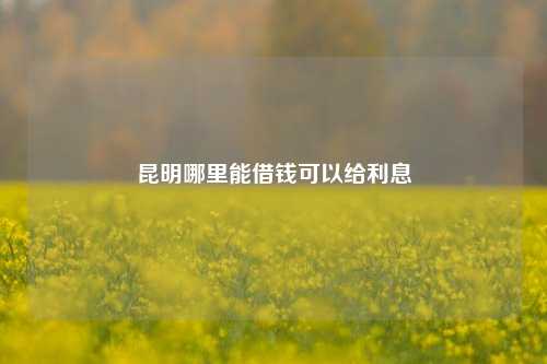 昆明哪里能借钱可以给利息