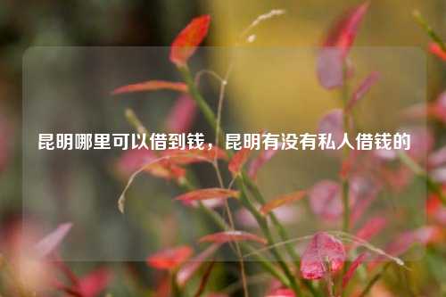 昆明哪里可以借到钱，昆明有没有私人借钱的
