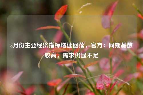 5月份主要经济指标增速回落，官方：同期基数较高，需求仍显不足