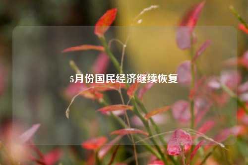5月份国民经济继续恢复
