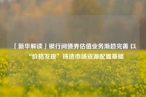 「新华解读」银行间债券估值业务渐趋完善 以“价格发现”铸造市场资源配置基础
