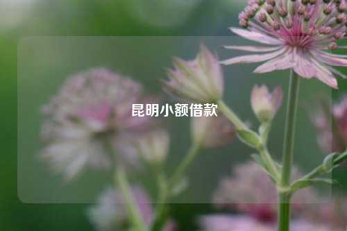 昆明小额借款