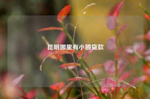 昆明哪里有小额贷款