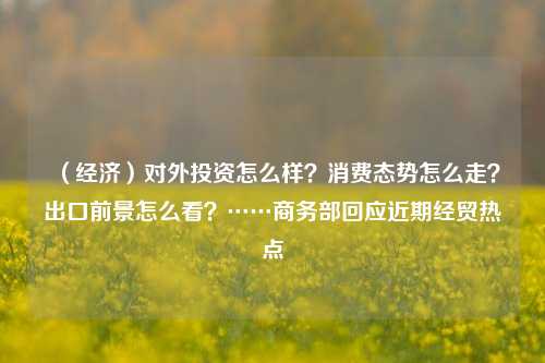 （经济）对外投资怎么样？消费态势怎么走？出口前景怎么看？……商务部回应近期经贸热点