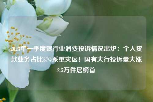 2023年一季度银行业消费投诉情况出炉：个人贷款业务占比57%系重灾区！国有大行投诉量大涨2.5万件居榜首