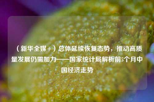 （新华全媒+）总体延续恢复态势，推动高质量发展仍需加力——国家统计局解析前5个月中国经济走势