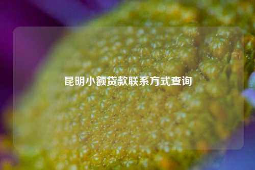 昆明小额贷款联系方式查询