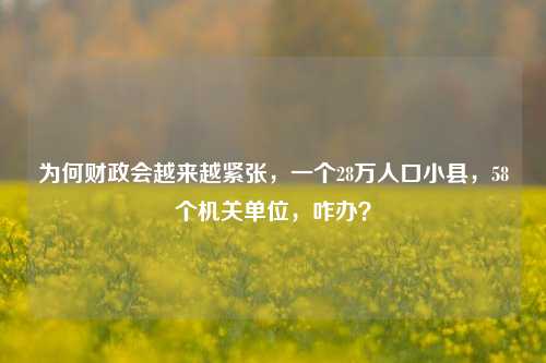 为何财政会越来越紧张，一个28万人口小县，58个机关单位，咋办？