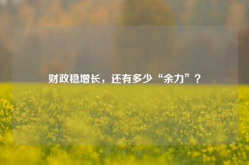 财政稳增长，还有多少“余力”？