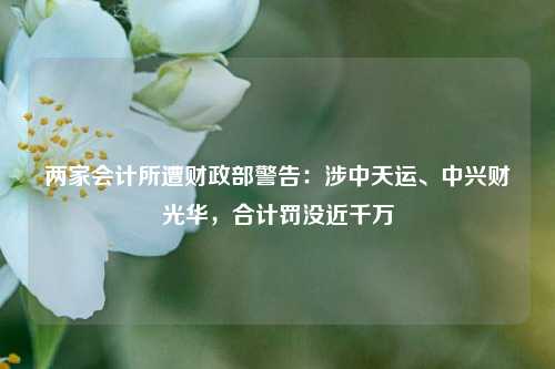 两家会计所遭财政部警告：涉中天运、中兴财光华，合计罚没近千万