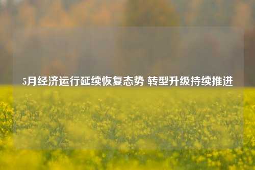 5月经济运行延续恢复态势 转型升级持续推进