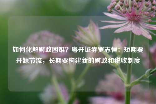 如何化解财政困难？粤开证券罗志恒：短期要开源节流，长期要构建新的财政和税收制度