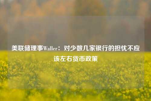 美联储理事Waller：对少数几家银行的担忧不应该左右货币政策