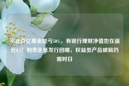 不止百亿基金能亏50%，有银行理财净值也在逼近0.5！利率走低发行回暖，权益类产品破局仍需时日