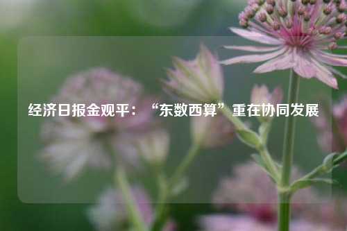 经济日报金观平：“东数西算”重在协同发展