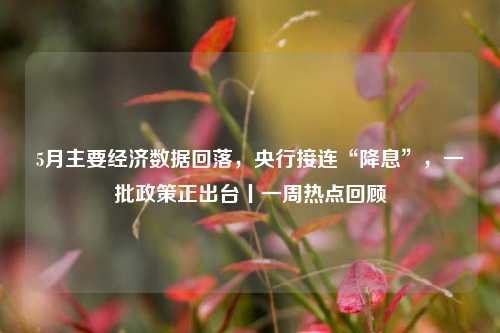 5月主要经济数据回落，央行接连“降息”，一批政策正出台丨一周热点回顾