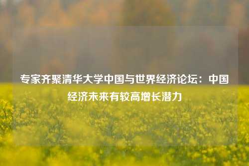 专家齐聚清华大学中国与世界经济论坛：中国经济未来有较高增长潜力