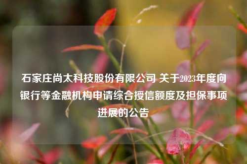 石家庄尚太科技股份有限公司 关于2023年度向银行等金融机构申请综合授信额度及担保事项进展的公告