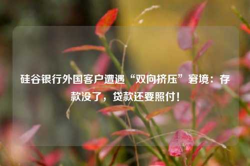 硅谷银行外国客户遭遇“双向挤压”窘境：存款没了，贷款还要照付！