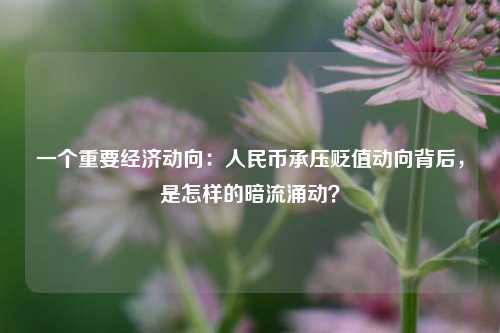 一个重要经济动向：人民币承压贬值动向背后，是怎样的暗流涌动？