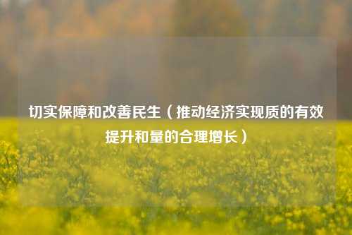 切实保障和改善民生（推动经济实现质的有效提升和量的合理增长）