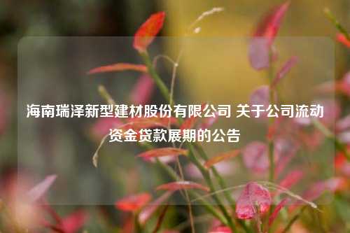 海南瑞泽新型建材股份有限公司 关于公司流动资金贷款展期的公告