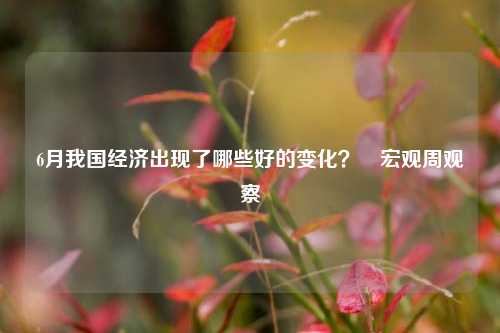6月我国经济出现了哪些好的变化？∣宏观周观察