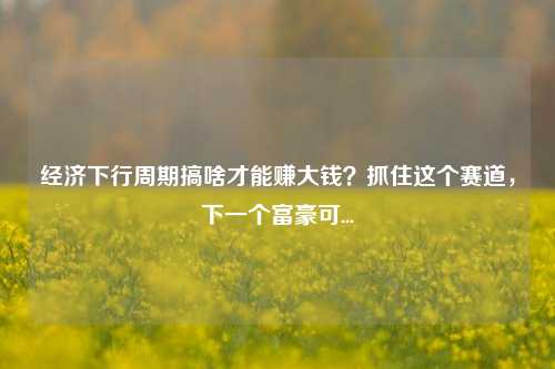 经济下行周期搞啥才能赚大钱？抓住这个赛道，下一个富豪可...