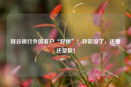 硅谷银行外国客户“好惨”：存款没了，还要还贷款！