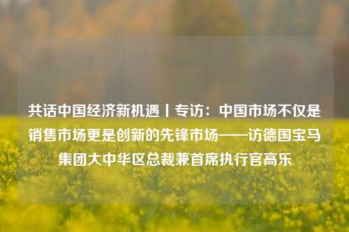 共话中国经济新机遇丨专访：中国市场不仅是销售市场更是创新的先锋市场——访德国宝马集团大中华区总裁兼首席执行官高乐
