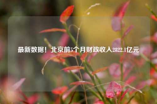 最新数据！北京前5个月财政收入2822.1亿元