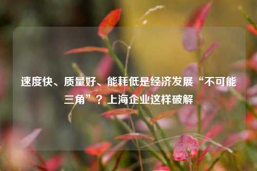 速度快、质量好、能耗低是经济发展“不可能三角”？上海企业这样破解