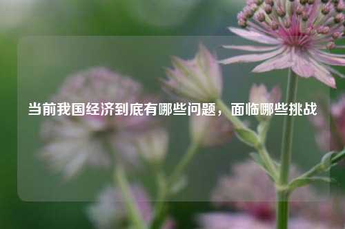 当前我国经济到底有哪些问题，面临哪些挑战