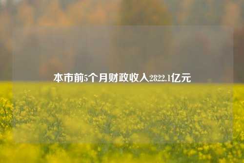 本市前5个月财政收入2822.1亿元