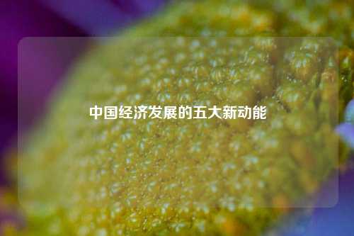 中国经济发展的五大新动能