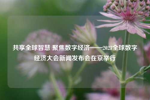 共享全球智慧 聚焦数字经济——2023全球数字经济大会新闻发布会在京举行