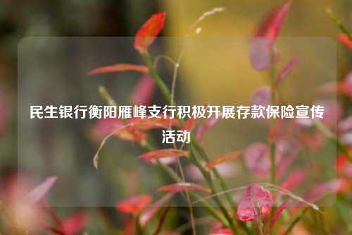 民生银行衡阳雁峰支行积极开展存款保险宣传活动