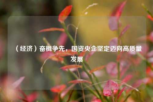 （经济）奋楫争先，国资央企坚定迈向高质量发展