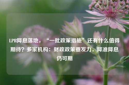 LPR降息落地，“一批政策措施”还有什么值得期待？多家机构：财政政策要发力，降准降息仍可期