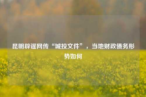 昆明辟谣网传“城投文件”，当地财政债务形势如何