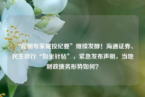 “昆明专家城投纪要”继续发酵！海通证券、民生银行“如坐针毡”，紧急发布声明，当地财政债务形势如何？