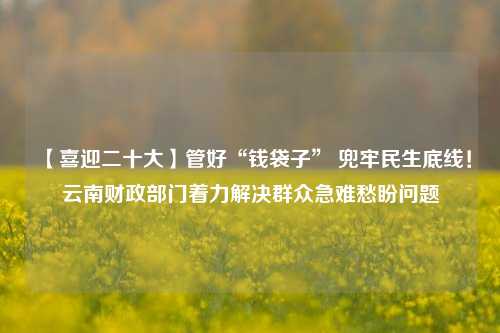 【喜迎二十大】管好“钱袋子” 兜牢民生底线！云南财政部门着力解决群众急难愁盼问题