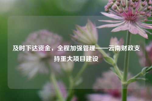 及时下达资金，全程加强管理——云南财政支持重大项目建设