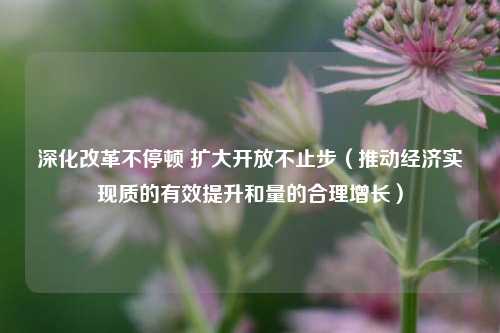 深化改革不停顿 扩大开放不止步（推动经济实现质的有效提升和量的合理增长）