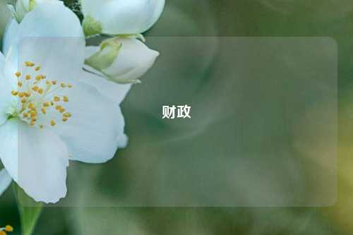 财政