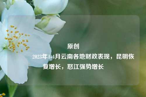 原创 2023年1-4月云南各地财政表现，昆明恢复增长，怒江强势增长