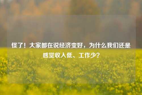 怪了！大家都在说经济变好，为什么我们还是感觉收入低、工作少？