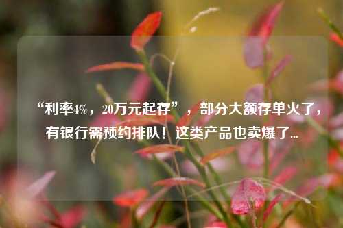 “利率4%，20万元起存”，部分大额存单火了，有银行需预约排队！这类产品也卖爆了...